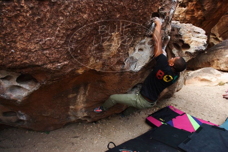 Bouldering in Hueco Tanks on 12/02/2018 with Blue Lizard Climbing and Yoga

Filename: SRM_20181202_1054420.jpg
Aperture: f/5.0
Shutter Speed: 1/250
Body: Canon EOS-1D Mark II
Lens: Canon EF 16-35mm f/2.8 L