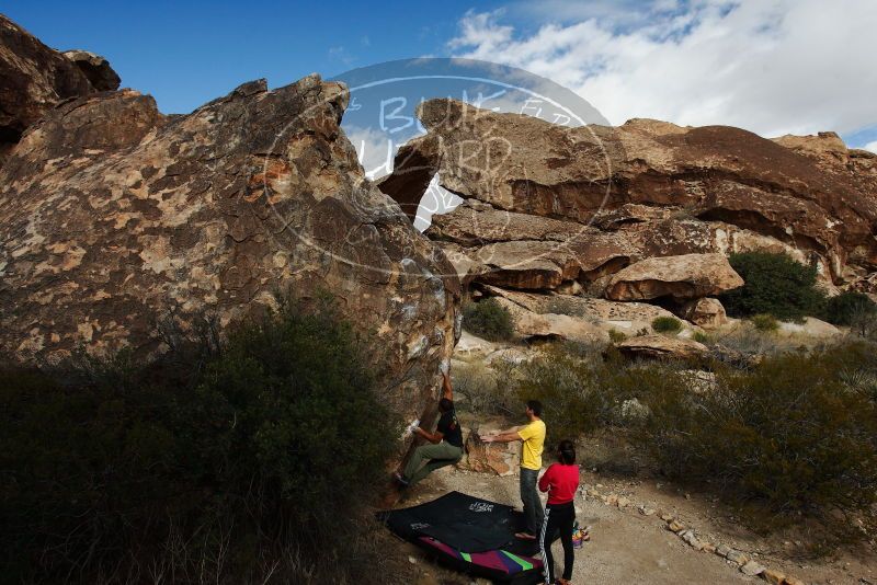 Bouldering in Hueco Tanks on 12/02/2018 with Blue Lizard Climbing and Yoga

Filename: SRM_20181202_1106390.jpg
Aperture: f/7.1
Shutter Speed: 1/250
Body: Canon EOS-1D Mark II
Lens: Canon EF 16-35mm f/2.8 L