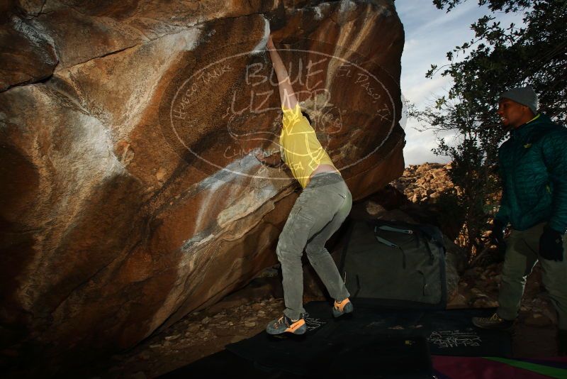 Bouldering in Hueco Tanks on 12/02/2018 with Blue Lizard Climbing and Yoga

Filename: SRM_20181202_1649281.jpg
Aperture: f/7.1
Shutter Speed: 1/250
Body: Canon EOS-1D Mark II
Lens: Canon EF 16-35mm f/2.8 L