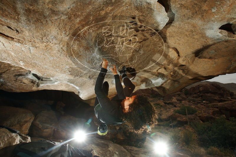 Bouldering in Hueco Tanks on 12/08/2018 with Blue Lizard Climbing and Yoga

Filename: SRM_20181208_1126300.jpg
Aperture: f/8.0
Shutter Speed: 1/250
Body: Canon EOS-1D Mark II
Lens: Canon EF 16-35mm f/2.8 L