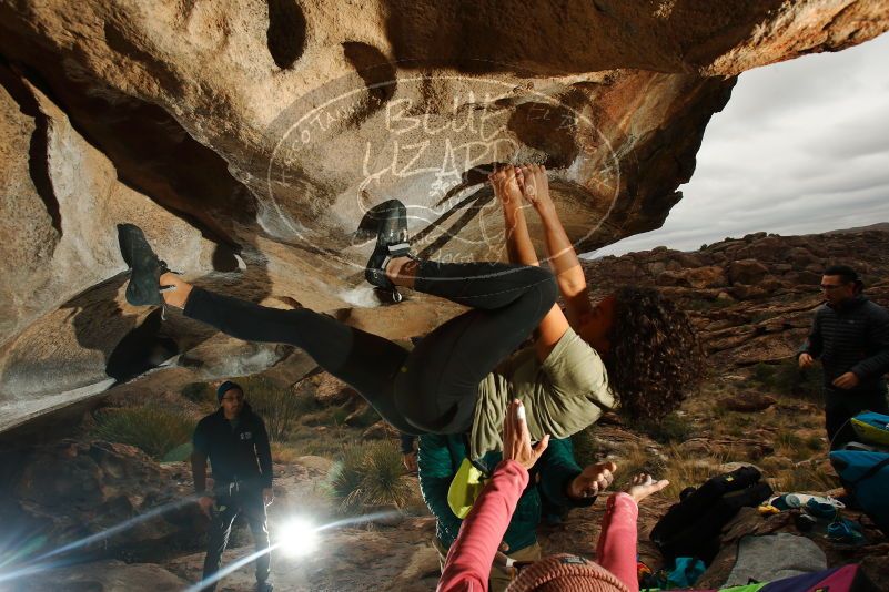 Bouldering in Hueco Tanks on 12/08/2018 with Blue Lizard Climbing and Yoga

Filename: SRM_20181208_1210020.jpg
Aperture: f/8.0
Shutter Speed: 1/250
Body: Canon EOS-1D Mark II
Lens: Canon EF 16-35mm f/2.8 L