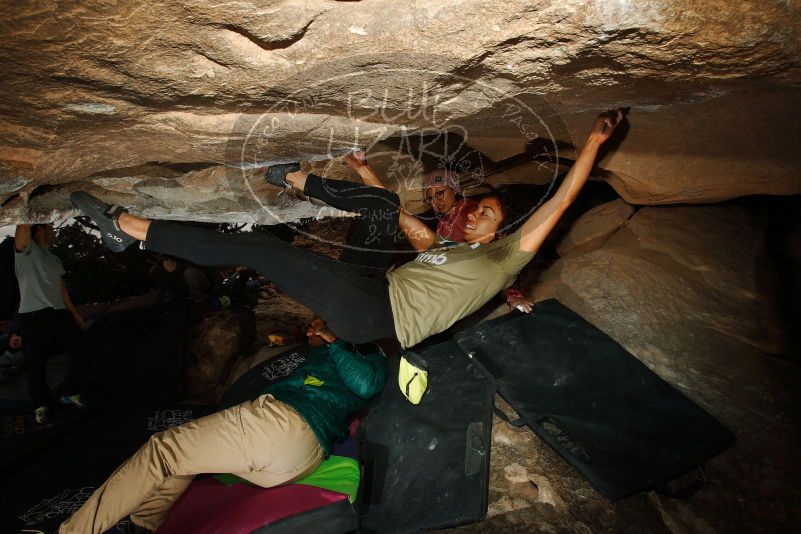 Bouldering in Hueco Tanks on 12/08/2018 with Blue Lizard Climbing and Yoga

Filename: SRM_20181208_1239320.jpg
Aperture: f/8.0
Shutter Speed: 1/200
Body: Canon EOS-1D Mark II
Lens: Canon EF 16-35mm f/2.8 L