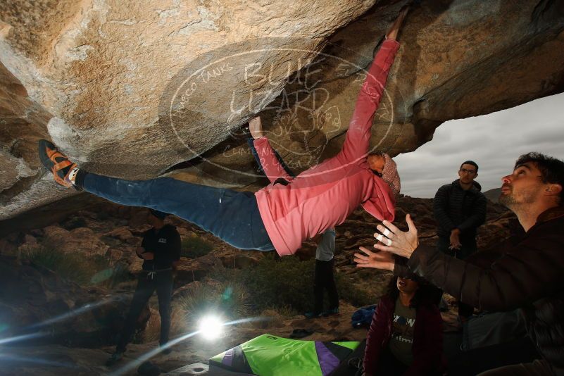 Bouldering in Hueco Tanks on 12/08/2018 with Blue Lizard Climbing and Yoga

Filename: SRM_20181208_1255250.jpg
Aperture: f/8.0
Shutter Speed: 1/250
Body: Canon EOS-1D Mark II
Lens: Canon EF 16-35mm f/2.8 L