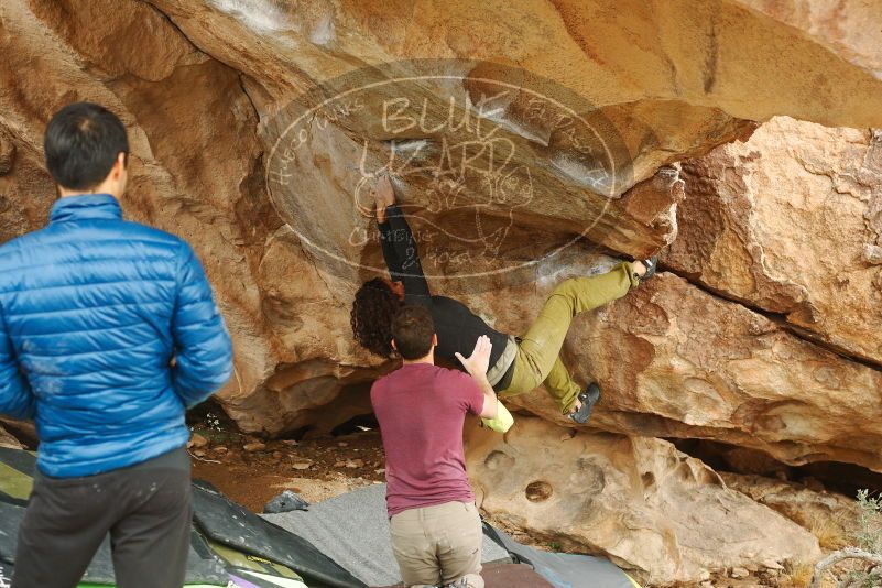 Bouldering in Hueco Tanks on 12/08/2018 with Blue Lizard Climbing and Yoga

Filename: SRM_20181208_1437030.jpg
Aperture: f/4.0
Shutter Speed: 1/250
Body: Canon EOS-1D Mark II
Lens: Canon EF 50mm f/1.8 II