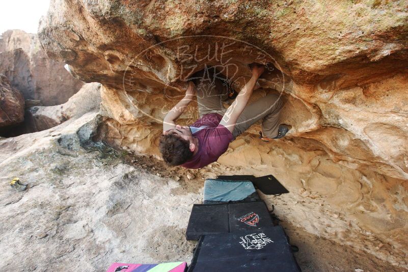 Bouldering in Hueco Tanks on 12/08/2018 with Blue Lizard Climbing and Yoga

Filename: SRM_20181208_1625150.jpg
Aperture: f/5.0
Shutter Speed: 1/250
Body: Canon EOS-1D Mark II
Lens: Canon EF 16-35mm f/2.8 L