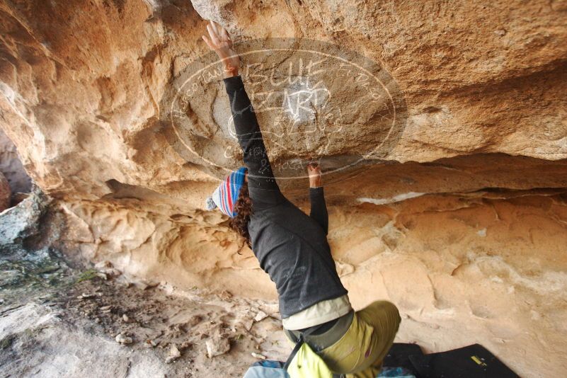 Bouldering in Hueco Tanks on 12/08/2018 with Blue Lizard Climbing and Yoga

Filename: SRM_20181208_1629490.jpg
Aperture: f/3.2
Shutter Speed: 1/250
Body: Canon EOS-1D Mark II
Lens: Canon EF 16-35mm f/2.8 L