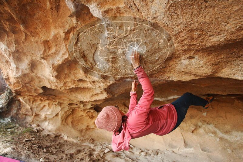 Bouldering in Hueco Tanks on 12/08/2018 with Blue Lizard Climbing and Yoga

Filename: SRM_20181208_1708050.jpg
Aperture: f/4.0
Shutter Speed: 1/250
Body: Canon EOS-1D Mark II
Lens: Canon EF 16-35mm f/2.8 L