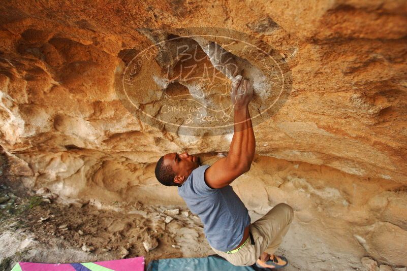 Bouldering in Hueco Tanks on 12/08/2018 with Blue Lizard Climbing and Yoga

Filename: SRM_20181208_1729460.jpg
Aperture: f/4.0
Shutter Speed: 1/250
Body: Canon EOS-1D Mark II
Lens: Canon EF 16-35mm f/2.8 L