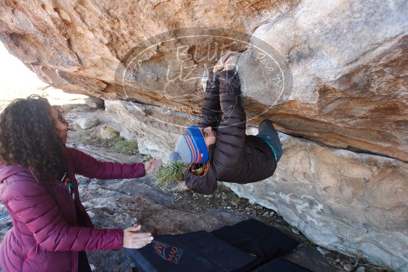 Bouldering in Hueco Tanks on 12/09/2018 with Blue Lizard Climbing and Yoga

Filename: SRM_20181209_1141580.jpg
Aperture: f/4.0
Shutter Speed: 1/250
Body: Canon EOS-1D Mark II
Lens: Canon EF 16-35mm f/2.8 L