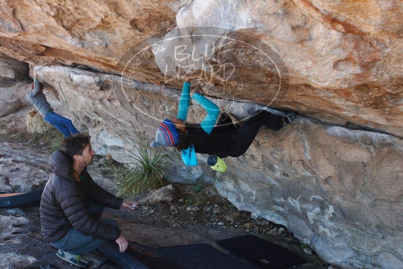 Bouldering in Hueco Tanks on 12/09/2018 with Blue Lizard Climbing and Yoga

Filename: SRM_20181209_1223210.jpg
Aperture: f/4.5
Shutter Speed: 1/250
Body: Canon EOS-1D Mark II
Lens: Canon EF 16-35mm f/2.8 L