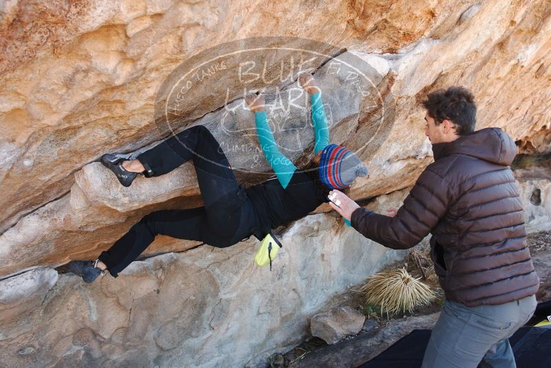 Bouldering in Hueco Tanks on 12/09/2018 with Blue Lizard Climbing and Yoga
Filename: SRM_20181209_1223390.jpg
Aperture: f/4.5
Shutter Speed: 1/250
Body: Canon EOS-1D Mark II
Lens: Canon EF 16-35mm f/2.8 L