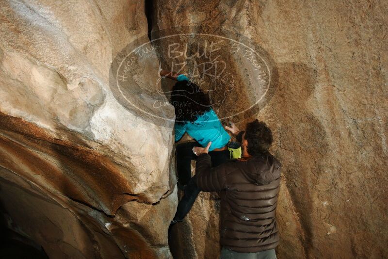 Bouldering in Hueco Tanks on 12/09/2018 with Blue Lizard Climbing and Yoga

Filename: SRM_20181209_1522370.jpg
Aperture: f/5.6
Shutter Speed: 1/250
Body: Canon EOS-1D Mark II
Lens: Canon EF 16-35mm f/2.8 L
