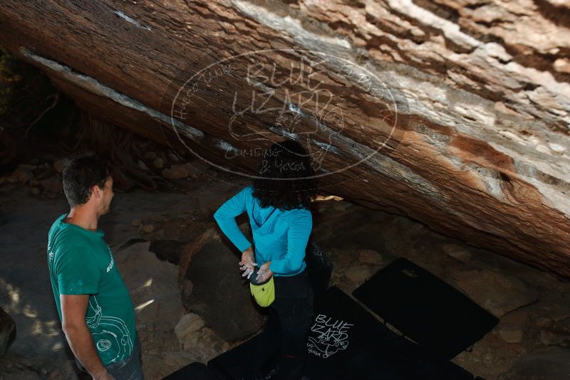 Bouldering in Hueco Tanks on 12/09/2018 with Blue Lizard Climbing and Yoga

Filename: SRM_20181209_1711580.jpg
Aperture: f/5.6
Shutter Speed: 1/250
Body: Canon EOS-1D Mark II
Lens: Canon EF 16-35mm f/2.8 L