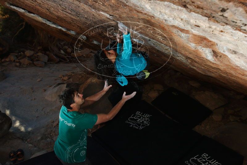 Bouldering in Hueco Tanks on 12/09/2018 with Blue Lizard Climbing and Yoga

Filename: SRM_20181209_1716020.jpg
Aperture: f/5.6
Shutter Speed: 1/250
Body: Canon EOS-1D Mark II
Lens: Canon EF 16-35mm f/2.8 L