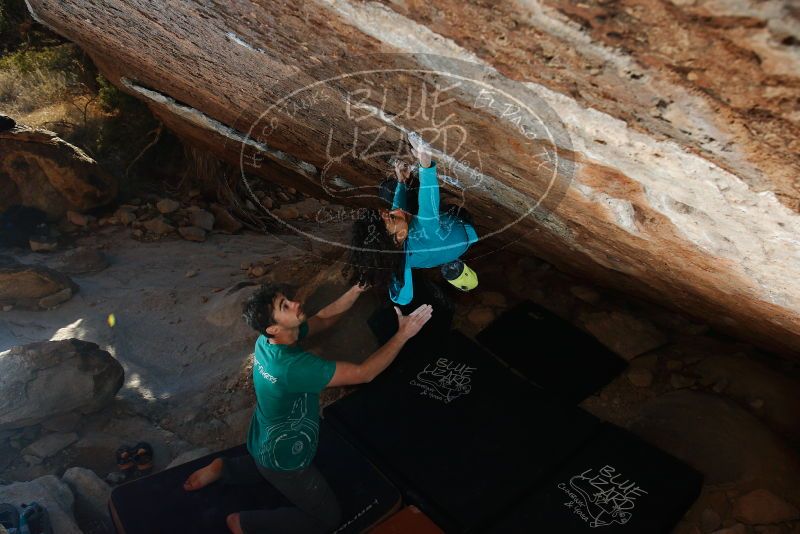 Bouldering in Hueco Tanks on 12/09/2018 with Blue Lizard Climbing and Yoga

Filename: SRM_20181209_1716350.jpg
Aperture: f/5.6
Shutter Speed: 1/250
Body: Canon EOS-1D Mark II
Lens: Canon EF 16-35mm f/2.8 L