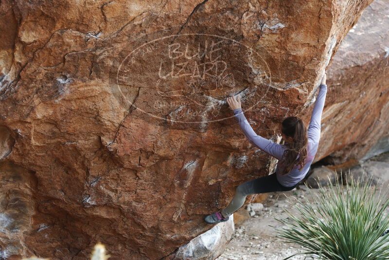 Bouldering in Hueco Tanks on 12/21/2018 with Blue Lizard Climbing and Yoga

Filename: SRM_20181221_1211320.jpg
Aperture: f/3.2
Shutter Speed: 1/320
Body: Canon EOS-1D Mark II
Lens: Canon EF 50mm f/1.8 II