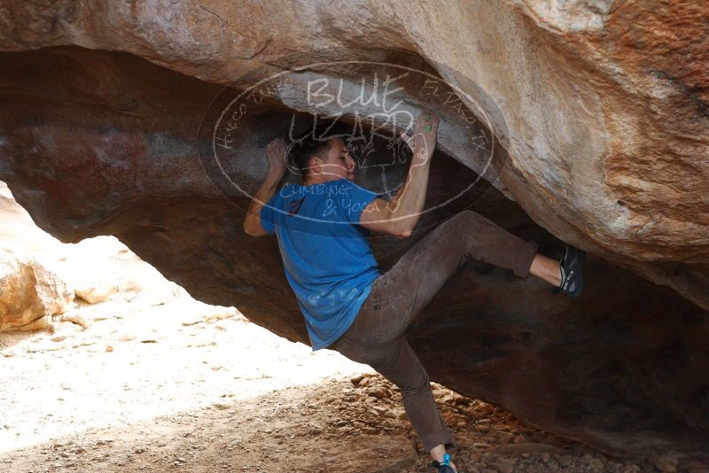 Bouldering in Hueco Tanks on 12/21/2018 with Blue Lizard Climbing and Yoga

Filename: SRM_20181221_1346000.jpg
Aperture: f/4.0
Shutter Speed: 1/250
Body: Canon EOS-1D Mark II
Lens: Canon EF 50mm f/1.8 II