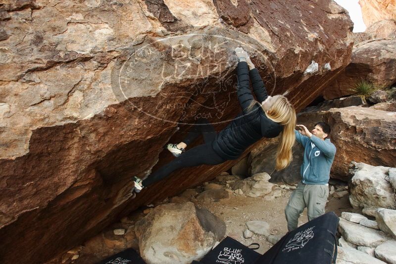 Bouldering in Hueco Tanks on 12/22/2018 with Blue Lizard Climbing and Yoga

Filename: SRM_20181222_1057580.jpg
Aperture: f/5.0
Shutter Speed: 1/250
Body: Canon EOS-1D Mark II
Lens: Canon EF 16-35mm f/2.8 L