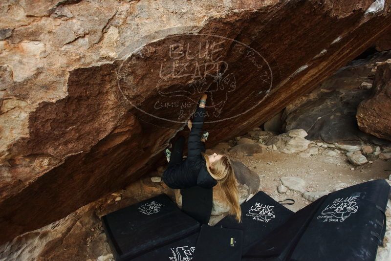 Bouldering in Hueco Tanks on 12/22/2018 with Blue Lizard Climbing and Yoga

Filename: SRM_20181222_1106190.jpg
Aperture: f/4.0
Shutter Speed: 1/250
Body: Canon EOS-1D Mark II
Lens: Canon EF 16-35mm f/2.8 L