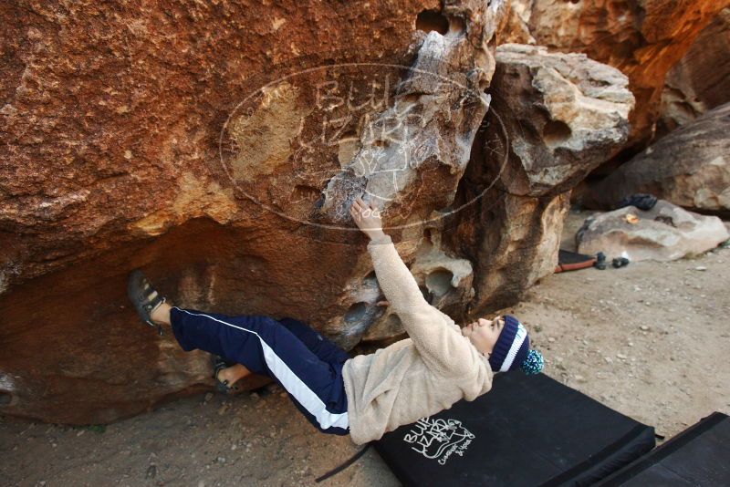 Bouldering in Hueco Tanks on 12/23/2018 with Blue Lizard Climbing and Yoga

Filename: SRM_20181223_1043140.jpg
Aperture: f/4.0
Shutter Speed: 1/320
Body: Canon EOS-1D Mark II
Lens: Canon EF 16-35mm f/2.8 L
