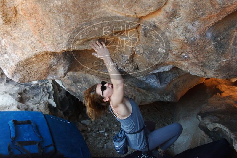 Bouldering in Hueco Tanks on 12/23/2018 with Blue Lizard Climbing and Yoga

Filename: SRM_20181223_1409110.jpg
Aperture: f/4.0
Shutter Speed: 1/320
Body: Canon EOS-1D Mark II
Lens: Canon EF 16-35mm f/2.8 L