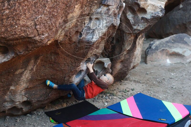 Bouldering in Hueco Tanks on 12/24/2018 with Blue Lizard Climbing and Yoga

Filename: SRM_20181224_1020070.jpg
Aperture: f/4.0
Shutter Speed: 1/250
Body: Canon EOS-1D Mark II
Lens: Canon EF 50mm f/1.8 II