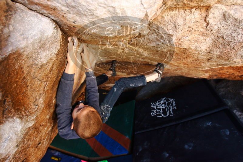 Bouldering in Hueco Tanks on 12/24/2018 with Blue Lizard Climbing and Yoga

Filename: SRM_20181224_1110101.jpg
Aperture: f/4.5
Shutter Speed: 1/125
Body: Canon EOS-1D Mark II
Lens: Canon EF 16-35mm f/2.8 L
