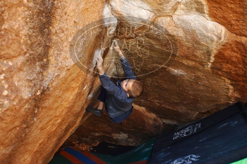 Bouldering in Hueco Tanks on 12/24/2018 with Blue Lizard Climbing and Yoga

Filename: SRM_20181224_1116280.jpg
Aperture: f/2.8
Shutter Speed: 1/320
Body: Canon EOS-1D Mark II
Lens: Canon EF 50mm f/1.8 II
