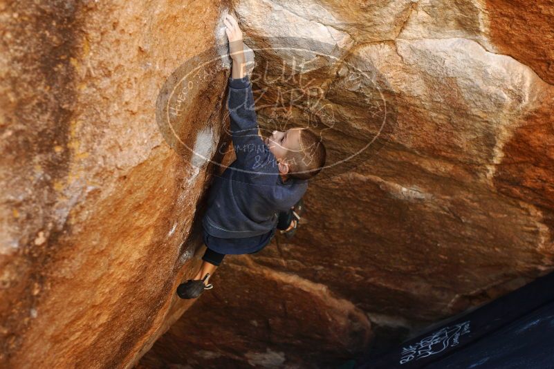 Bouldering in Hueco Tanks on 12/24/2018 with Blue Lizard Climbing and Yoga

Filename: SRM_20181224_1118470.jpg
Aperture: f/2.8
Shutter Speed: 1/320
Body: Canon EOS-1D Mark II
Lens: Canon EF 50mm f/1.8 II