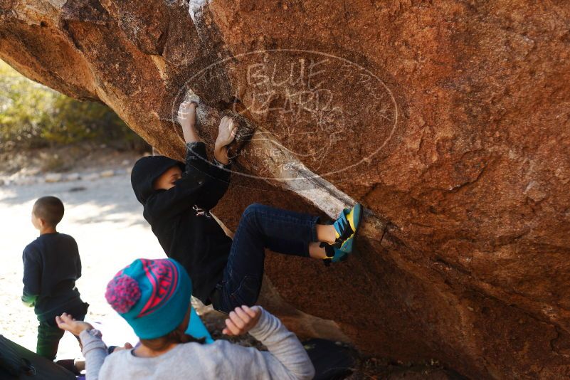 Bouldering in Hueco Tanks on 12/24/2018 with Blue Lizard Climbing and Yoga

Filename: SRM_20181224_1126410.jpg
Aperture: f/2.8
Shutter Speed: 1/800
Body: Canon EOS-1D Mark II
Lens: Canon EF 50mm f/1.8 II