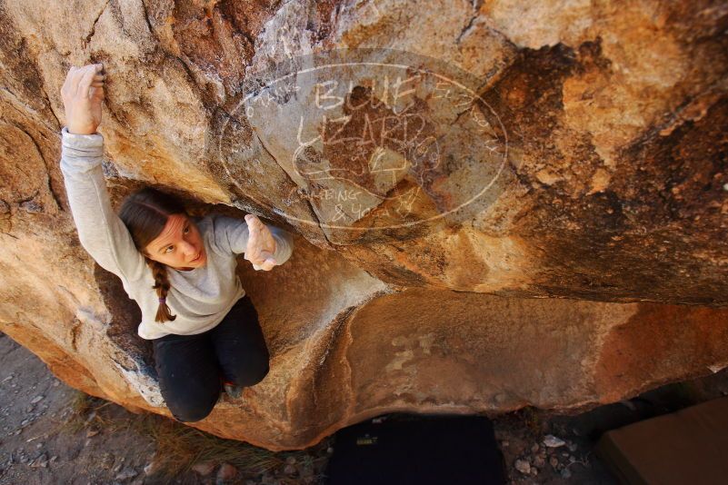 Bouldering in Hueco Tanks on 12/24/2018 with Blue Lizard Climbing and Yoga

Filename: SRM_20181224_1147030.jpg
Aperture: f/5.6
Shutter Speed: 1/200
Body: Canon EOS-1D Mark II
Lens: Canon EF 16-35mm f/2.8 L