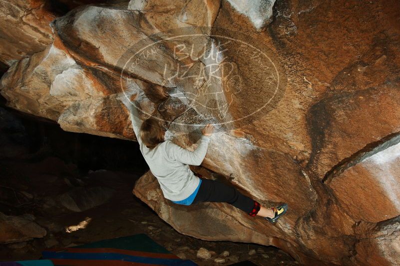 Bouldering in Hueco Tanks on 12/24/2018 with Blue Lizard Climbing and Yoga

Filename: SRM_20181224_1436010.jpg
Aperture: f/8.0
Shutter Speed: 1/250
Body: Canon EOS-1D Mark II
Lens: Canon EF 16-35mm f/2.8 L