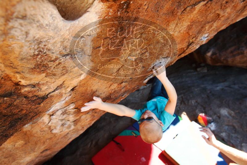 Bouldering in Hueco Tanks on 12/24/2018 with Blue Lizard Climbing and Yoga

Filename: SRM_20181224_1504220.jpg
Aperture: f/5.0
Shutter Speed: 1/400
Body: Canon EOS-1D Mark II
Lens: Canon EF 16-35mm f/2.8 L