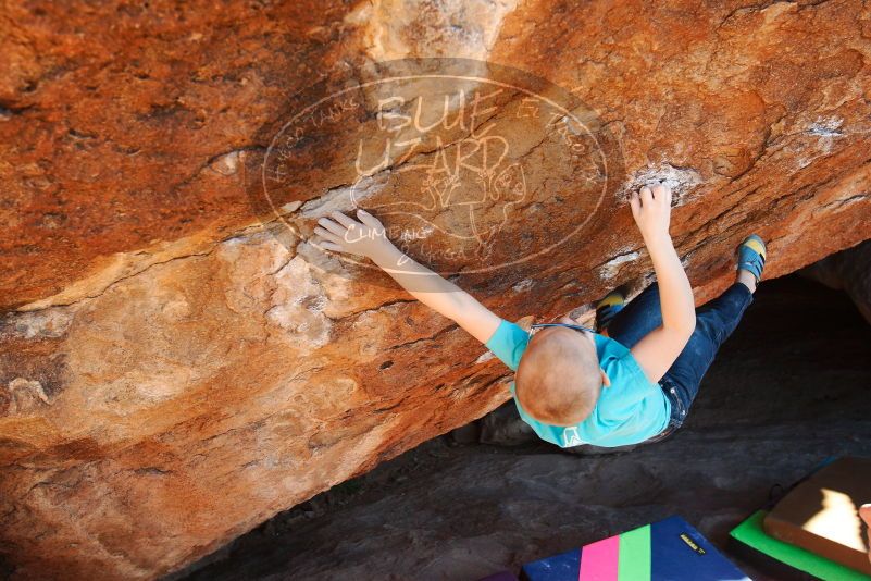 Bouldering in Hueco Tanks on 12/24/2018 with Blue Lizard Climbing and Yoga

Filename: SRM_20181224_1511480.jpg
Aperture: f/5.0
Shutter Speed: 1/400
Body: Canon EOS-1D Mark II
Lens: Canon EF 16-35mm f/2.8 L