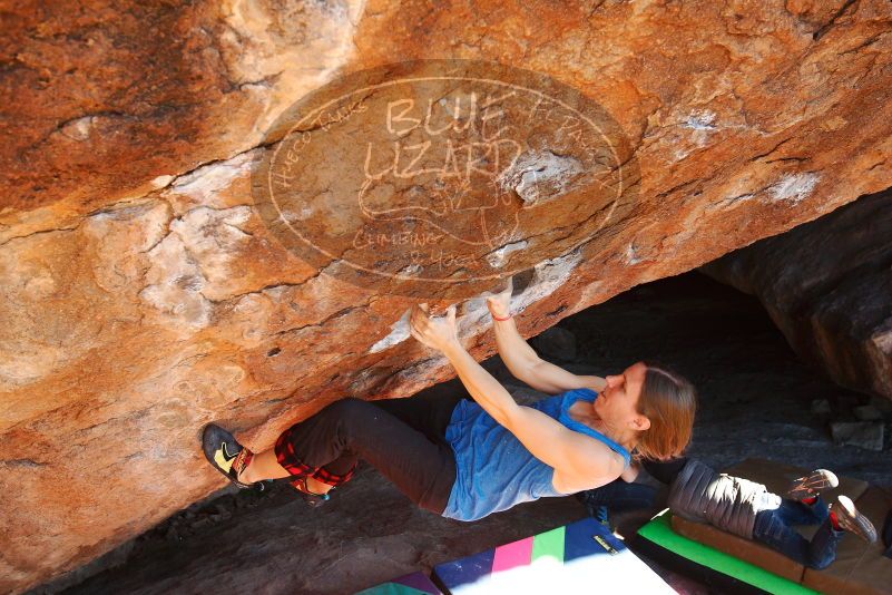 Bouldering in Hueco Tanks on 12/24/2018 with Blue Lizard Climbing and Yoga

Filename: SRM_20181224_1517150.jpg
Aperture: f/5.0
Shutter Speed: 1/320
Body: Canon EOS-1D Mark II
Lens: Canon EF 16-35mm f/2.8 L
