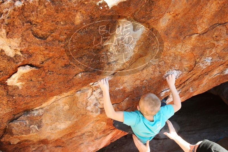 Bouldering in Hueco Tanks on 12/24/2018 with Blue Lizard Climbing and Yoga

Filename: SRM_20181224_1527200.jpg
Aperture: f/5.6
Shutter Speed: 1/320
Body: Canon EOS-1D Mark II
Lens: Canon EF 16-35mm f/2.8 L