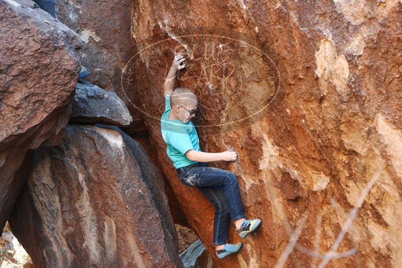 Bouldering in Hueco Tanks on 12/24/2018 with Blue Lizard Climbing and Yoga

Filename: SRM_20181224_1629030.jpg
Aperture: f/3.5
Shutter Speed: 1/160
Body: Canon EOS-1D Mark II
Lens: Canon EF 50mm f/1.8 II