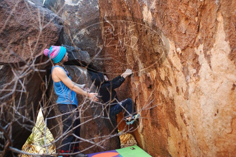 Bouldering in Hueco Tanks on 12/24/2018 with Blue Lizard Climbing and Yoga

Filename: SRM_20181224_1632590.jpg
Aperture: f/2.8
Shutter Speed: 1/200
Body: Canon EOS-1D Mark II
Lens: Canon EF 50mm f/1.8 II