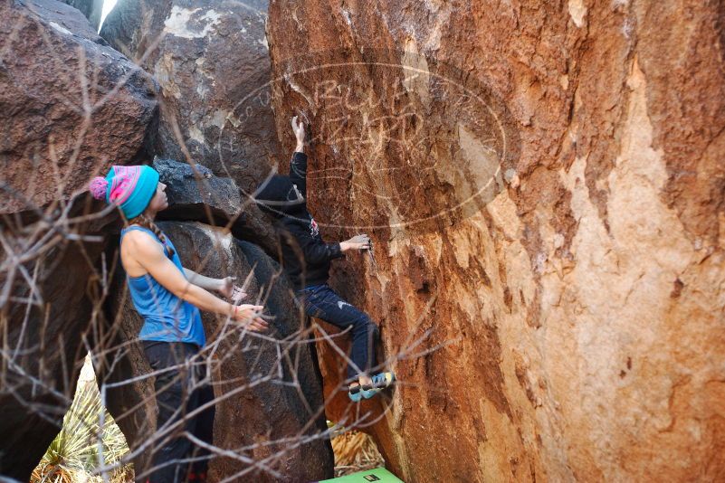 Bouldering in Hueco Tanks on 12/24/2018 with Blue Lizard Climbing and Yoga

Filename: SRM_20181224_1633000.jpg
Aperture: f/2.8
Shutter Speed: 1/200
Body: Canon EOS-1D Mark II
Lens: Canon EF 50mm f/1.8 II