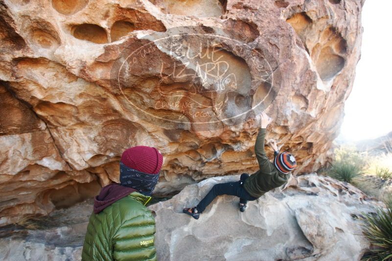 Bouldering in Hueco Tanks on 12/30/2018 with Blue Lizard Climbing and Yoga

Filename: SRM_20181230_1030110.jpg
Aperture: f/4.5
Shutter Speed: 1/200
Body: Canon EOS-1D Mark II
Lens: Canon EF 16-35mm f/2.8 L