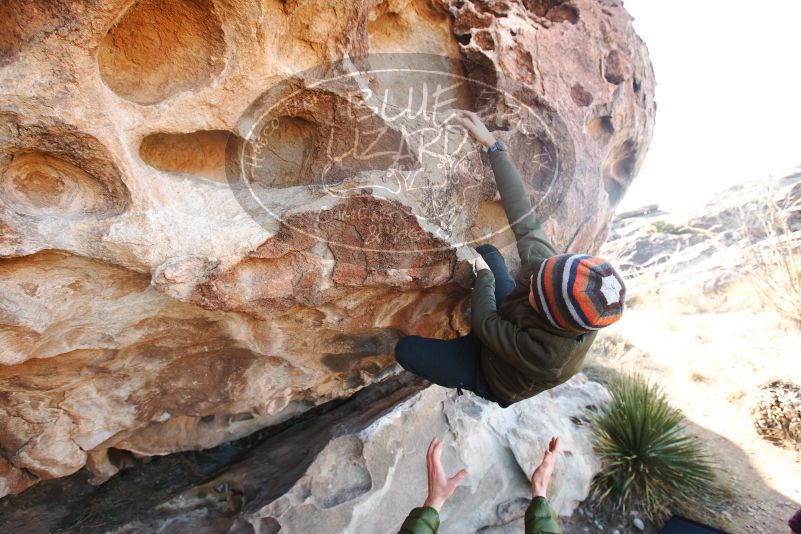 Bouldering in Hueco Tanks on 12/30/2018 with Blue Lizard Climbing and Yoga

Filename: SRM_20181230_1030380.jpg
Aperture: f/5.0
Shutter Speed: 1/200
Body: Canon EOS-1D Mark II
Lens: Canon EF 16-35mm f/2.8 L