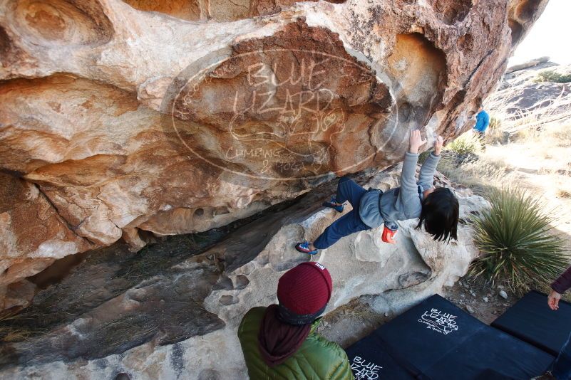 Bouldering in Hueco Tanks on 12/30/2018 with Blue Lizard Climbing and Yoga

Filename: SRM_20181230_1031460.jpg
Aperture: f/5.0
Shutter Speed: 1/200
Body: Canon EOS-1D Mark II
Lens: Canon EF 16-35mm f/2.8 L