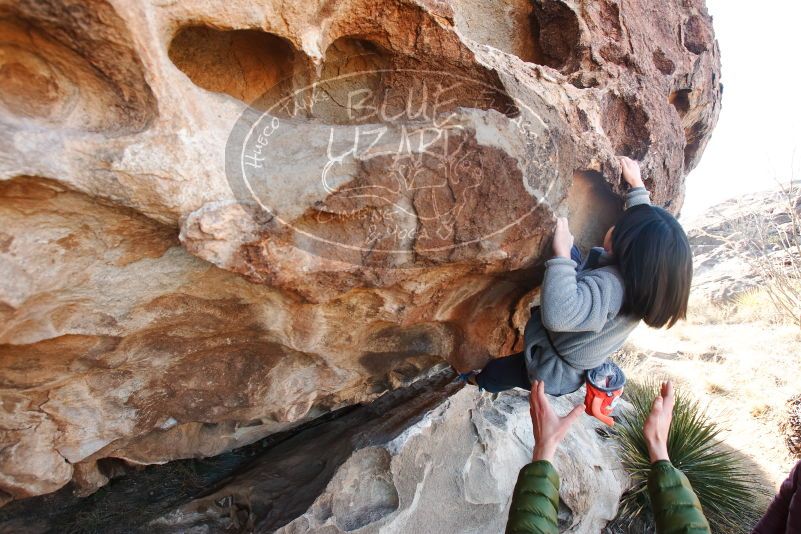 Bouldering in Hueco Tanks on 12/30/2018 with Blue Lizard Climbing and Yoga

Filename: SRM_20181230_1032190.jpg
Aperture: f/5.0
Shutter Speed: 1/200
Body: Canon EOS-1D Mark II
Lens: Canon EF 16-35mm f/2.8 L