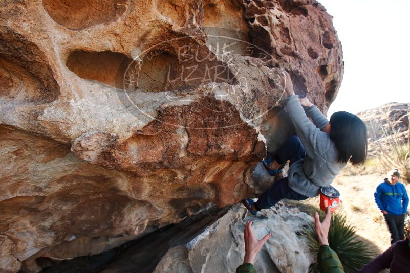 Bouldering in Hueco Tanks on 12/30/2018 with Blue Lizard Climbing and Yoga

Filename: SRM_20181230_1032280.jpg
Aperture: f/6.3
Shutter Speed: 1/200
Body: Canon EOS-1D Mark II
Lens: Canon EF 16-35mm f/2.8 L