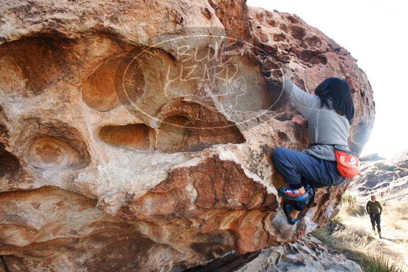 Bouldering in Hueco Tanks on 12/30/2018 with Blue Lizard Climbing and Yoga

Filename: SRM_20181230_1032380.jpg
Aperture: f/5.6
Shutter Speed: 1/200
Body: Canon EOS-1D Mark II
Lens: Canon EF 16-35mm f/2.8 L