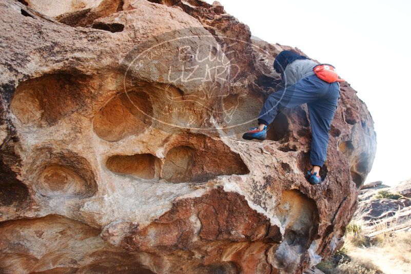 Bouldering in Hueco Tanks on 12/30/2018 with Blue Lizard Climbing and Yoga

Filename: SRM_20181230_1032570.jpg
Aperture: f/6.3
Shutter Speed: 1/200
Body: Canon EOS-1D Mark II
Lens: Canon EF 16-35mm f/2.8 L