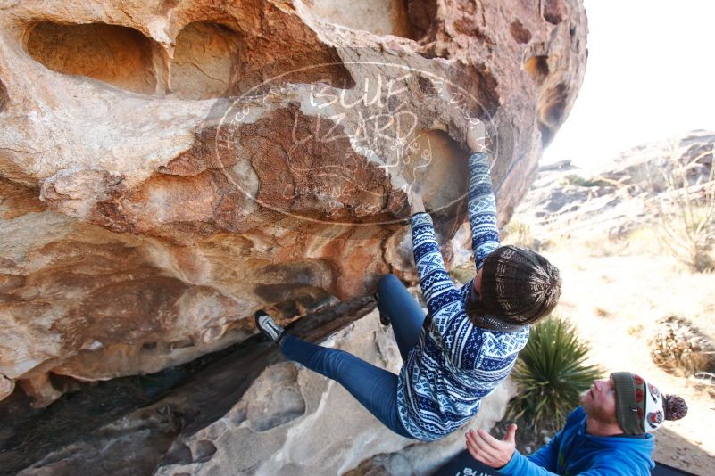 Bouldering in Hueco Tanks on 12/30/2018 with Blue Lizard Climbing and Yoga

Filename: SRM_20181230_1041320.jpg
Aperture: f/4.5
Shutter Speed: 1/250
Body: Canon EOS-1D Mark II
Lens: Canon EF 16-35mm f/2.8 L