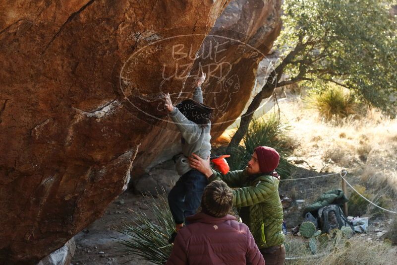 Bouldering in Hueco Tanks on 12/30/2018 with Blue Lizard Climbing and Yoga

Filename: SRM_20181230_1536420.jpg
Aperture: f/5.0
Shutter Speed: 1/400
Body: Canon EOS-1D Mark II
Lens: Canon EF 50mm f/1.8 II