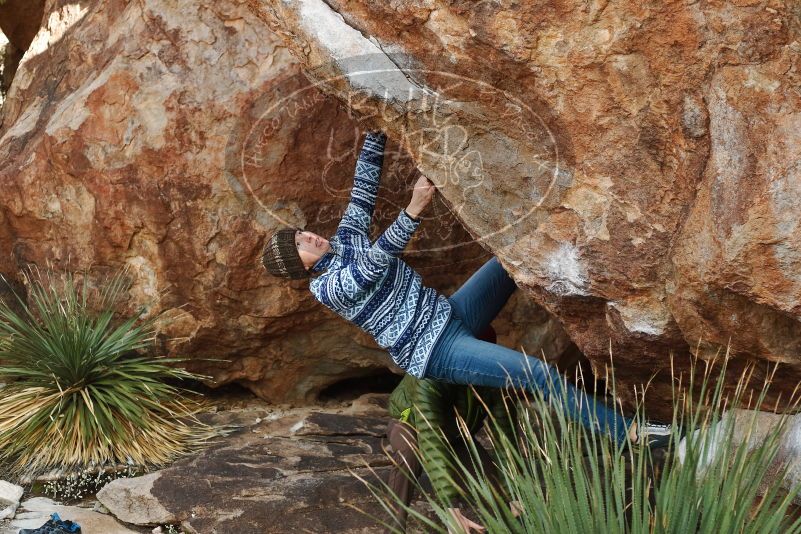 Bouldering in Hueco Tanks on 12/30/2018 with Blue Lizard Climbing and Yoga

Filename: SRM_20181230_1546080.jpg
Aperture: f/4.0
Shutter Speed: 1/320
Body: Canon EOS-1D Mark II
Lens: Canon EF 50mm f/1.8 II