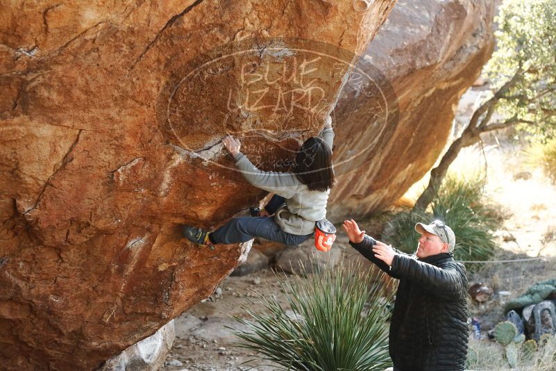 Bouldering in Hueco Tanks on 12/30/2018 with Blue Lizard Climbing and Yoga

Filename: SRM_20181230_1549180.jpg
Aperture: f/3.5
Shutter Speed: 1/320
Body: Canon EOS-1D Mark II
Lens: Canon EF 50mm f/1.8 II